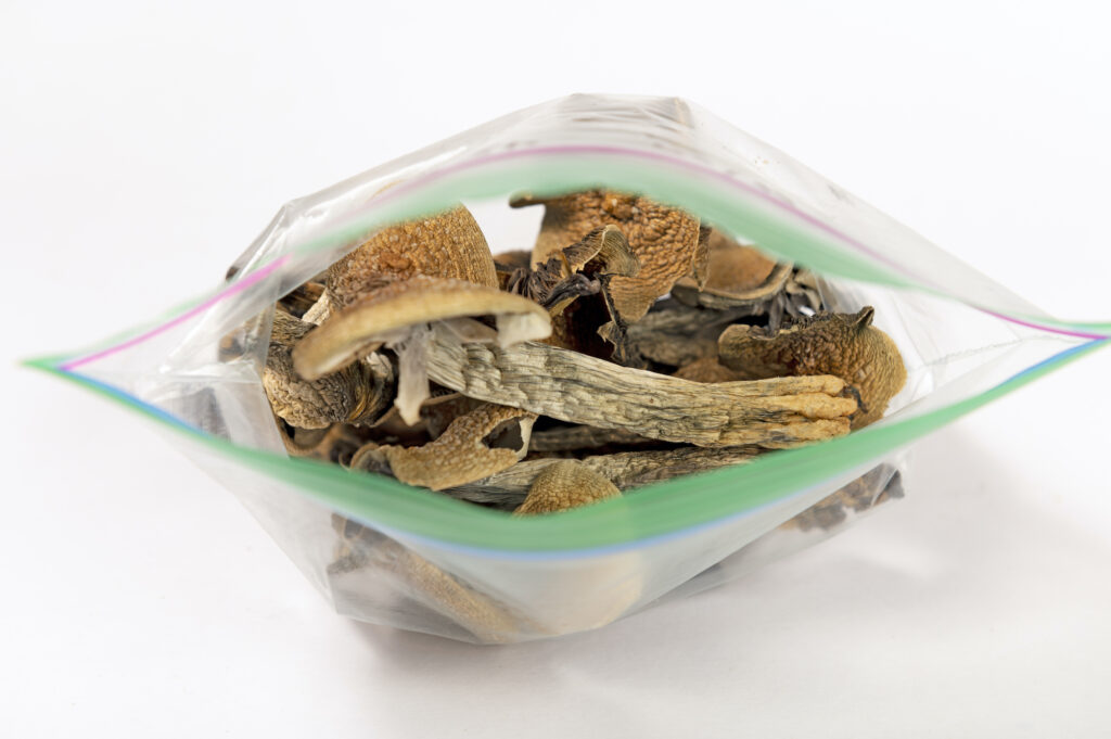 How to safely purchase magic mushrooms in California