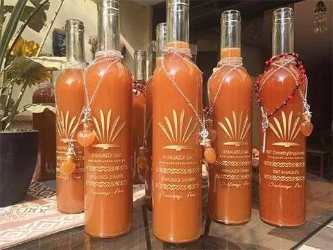 Buy Ayahuasca for Sale Online USA 2026 Guide